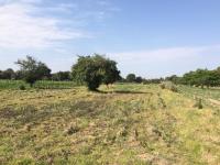 Terreno en venta en Santa Maria Tlacatecpa, Contla de Juan Cuamatzi — foto 3 de 7