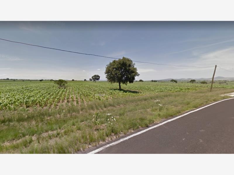 Terreno en venta en Granja de Guadalupe, Cuapiaxtla — foto 1 de 3