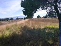 Terreno en venta en 1ra. San Bartolomé Matlalohcan, Tetla de la Solidaridad — foto 2 de 6