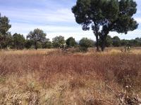 Terreno en venta en 1ra. San Bartolomé Matlalohcan, Tetla de la Solidaridad — foto 3 de 6