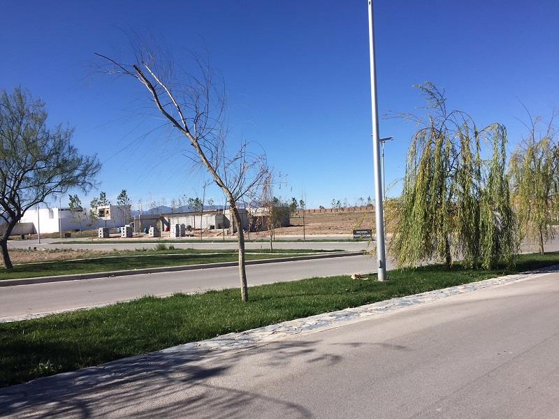 Terreno en venta en Hacienda del Rosario, Torreón — foto 1 de 19