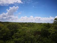 Terreno en venta en Izamal Centro, Izamal — foto 3 de 13