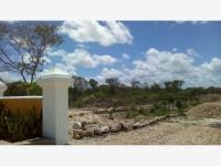 Terreno en venta en Izamal Centro, Izamal — foto 3 de 11