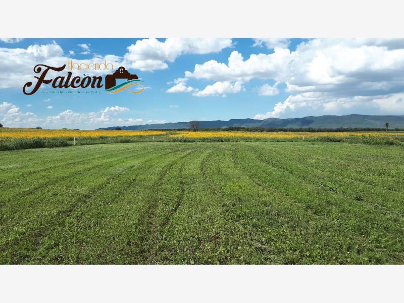 Terreno en venta en El Derramadero, Saltillo — foto 1 de 7