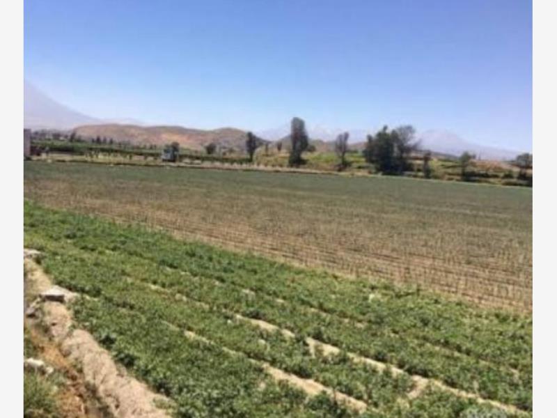 Terreno en venta en Tecoman Centro, Tecomán