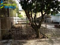 Terreno en La Calzada, Tuxpan, Veracruz de Ignacio de la Llave