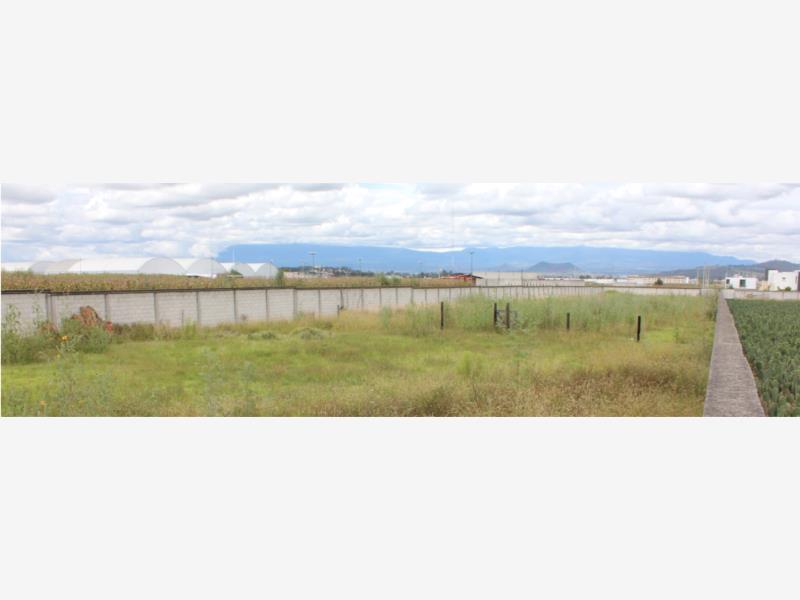 Terreno en venta en San Bernardino Tlaxcalancingo, San Andrés Cholula — foto 1 de 7