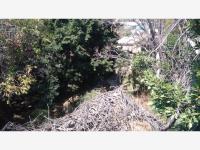 Terreno en venta en Lomas de Cortes, Cuernavaca — foto 3 de 5