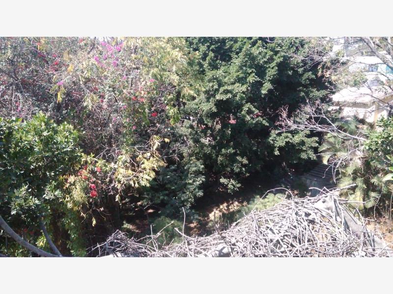 Terreno en venta en Lomas de Cortes, Cuernavaca — foto 1 de 5