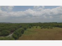 Terreno en venta en Zambrano, Montemorelos, Nuevo León