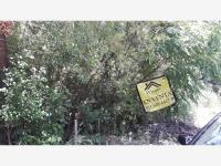Terreno en venta en Zambrano, Montemorelos — foto 3 de 3