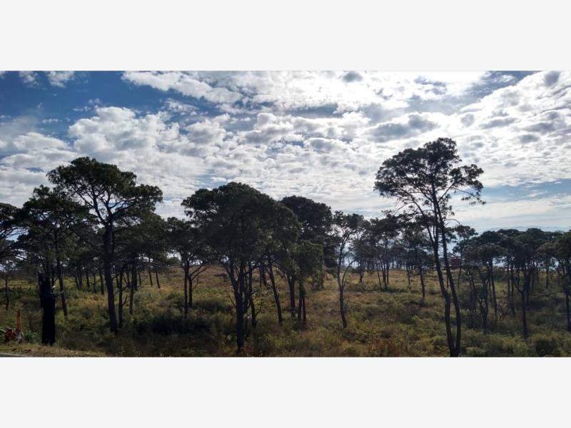 Terreno en venta en Cuauhtemoc, Cuauhtémoc