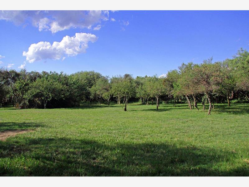 Terreno en venta en El Chivato (Providencia), Villa de Álvarez