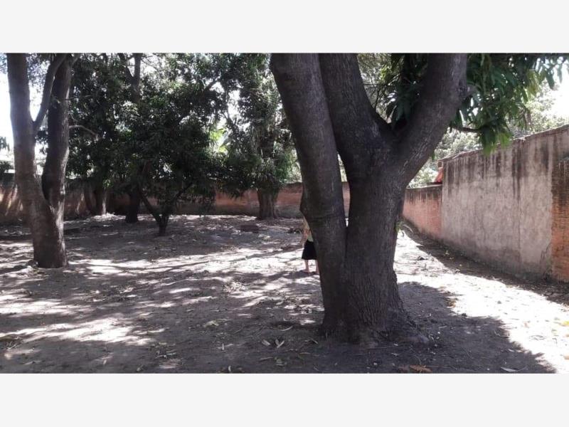 Terreno en venta en Villa de Alvarez Centro, Villa de Álvarez
