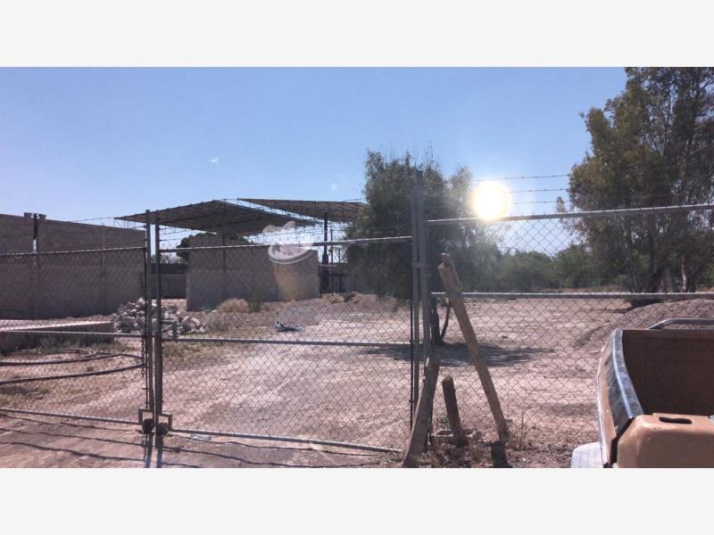 Terreno en Venta en Los Ángeles, Lerdo, Durango