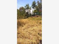 Terreno en venta en El Temazcal, Charo — foto 3 de 7