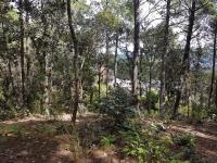 Terreno en venta en Los Alcanfores, San Cristóbal de las Casas, Chiapas