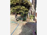 Terreno en venta en Delicias, Cuernavaca — foto 2 de 8