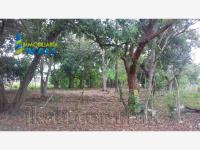 Terreno en venta en Primavera, Poza Rica de Hidalgo — foto 2 de 9