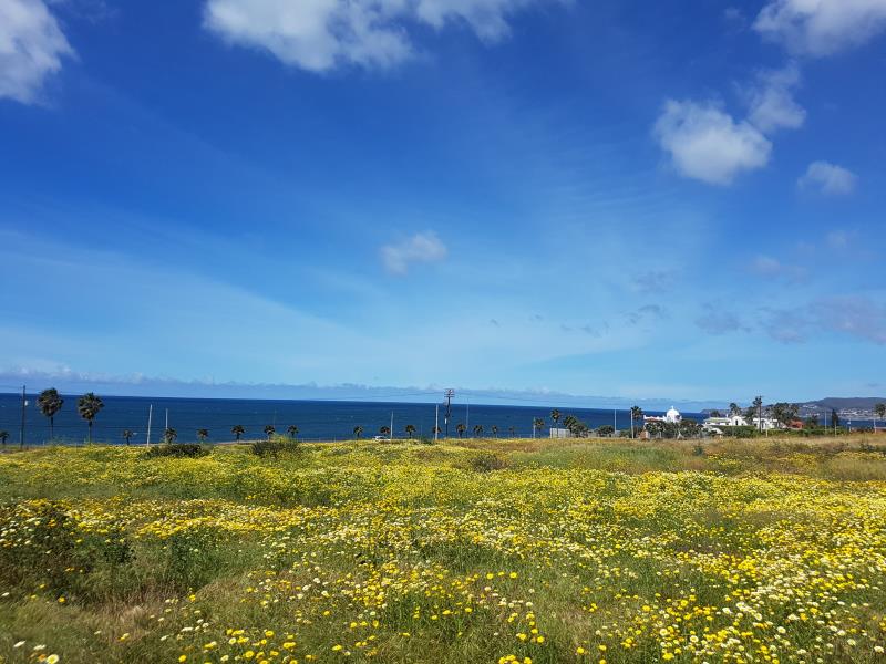 Terreno en renta en El Sauzal, Ensenada — foto 1 de 6