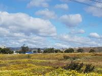 Terreno en renta en El Sauzal, Ensenada — foto 2 de 6