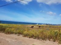 Terreno en renta en El Sauzal, Ensenada — foto 3 de 6