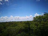 Terreno en venta en Izamal Centro, Izamal — foto 2 de 18