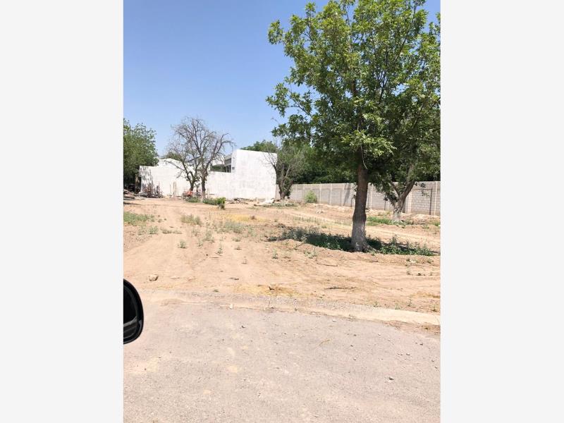 Terreno en Venta en Las Trojes, Torreón, Coahuila de Zaragoza