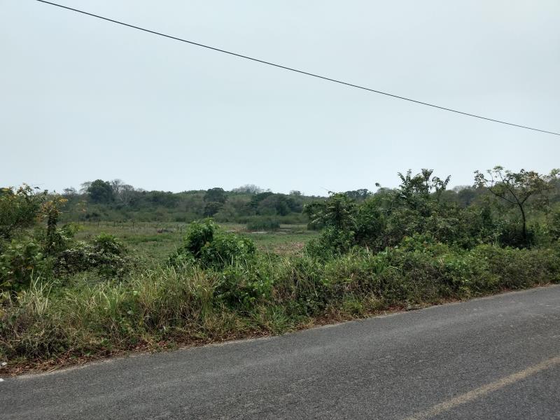 Terreno en venta en Tampache, Tamiahua — foto 1 de 10