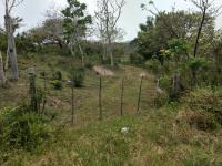 Terreno en venta en Tampache, Tamiahua — foto 3 de 10