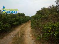 Terreno en venta en Tantalamos, Tamiahua — foto 3 de 8