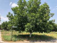 Terreno en venta en San Armando, Torreón — foto 3 de 9