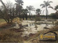 Terreno en venta en San Pablo Ahuatempa, Santa Isabel Cholula — foto 2 de 9