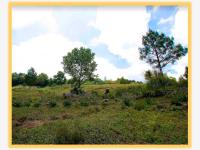 Terreno en venta en San Simón Almolongas, San Simón Almolongas — foto 2 de 2