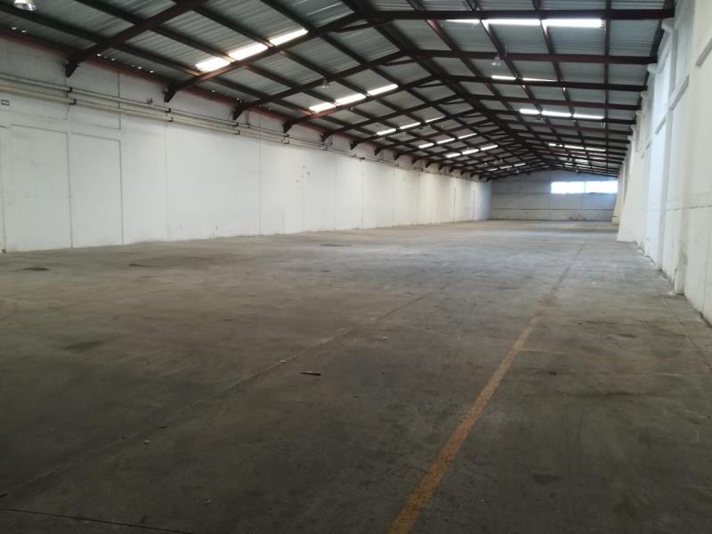Bodega en renta en Lorenzo Barcelata, Veracruz — foto 1 de 6