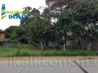 Terreno en renta en Adolfo Ruiz Cortines, Tuxpan — foto 3 de 9