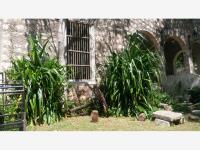 Terreno en venta en Izamal Centro, Izamal — foto 2 de 10