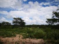 Terreno en venta en Izamal Centro, Izamal — foto 3 de 10