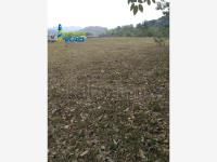 Terreno en venta en Anahuac, Poza Rica de Hidalgo — foto 3 de 10