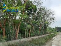 Terreno en Primavera, Poza Rica de Hidalgo, Veracruz de Ignacio de la Llave