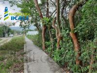 Terreno en venta en Primavera, Poza Rica de Hidalgo — foto 3 de 10