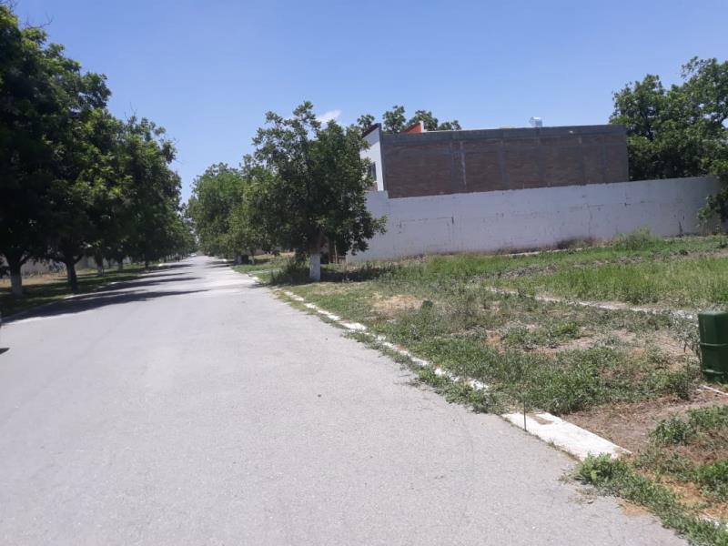 Terreno en venta en San Armando, Torreón — foto 1 de 9