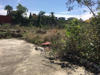 Terreno en renta en Vista Hermosa, Cuernavaca — foto 2 de 4