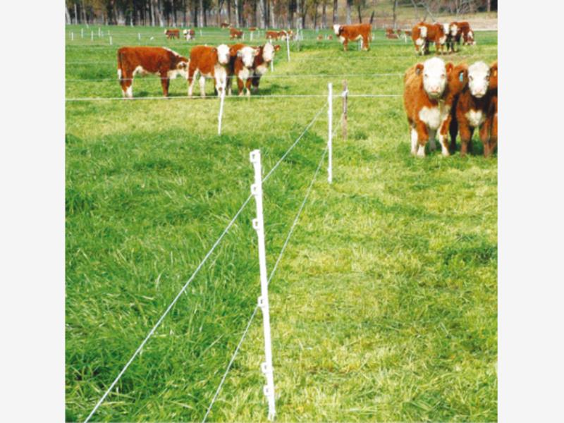 Finca-Rancho en venta en Coquimatlan, Coquimatlán