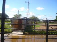 Finca-Rancho en venta en Plan de Guadalupe, Balancán — foto 3 de 24