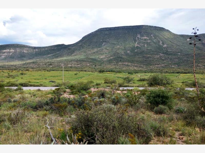 Terreno en venta en Palma Gorda, Saltillo — foto 1 de 8