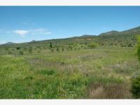 Terreno en venta en Palma Gorda, Saltillo — foto 3 de 8