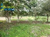 Finca-Rancho en venta en Álamo Centro, Álamo Temapache — foto 2 de 11
