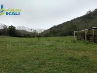 Finca-Rancho en venta en Álamo Centro, Álamo Temapache — foto 3 de 11