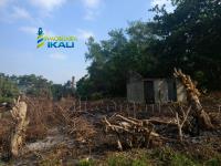 Terreno en venta en Higueral, Tuxpan — foto 2 de 8